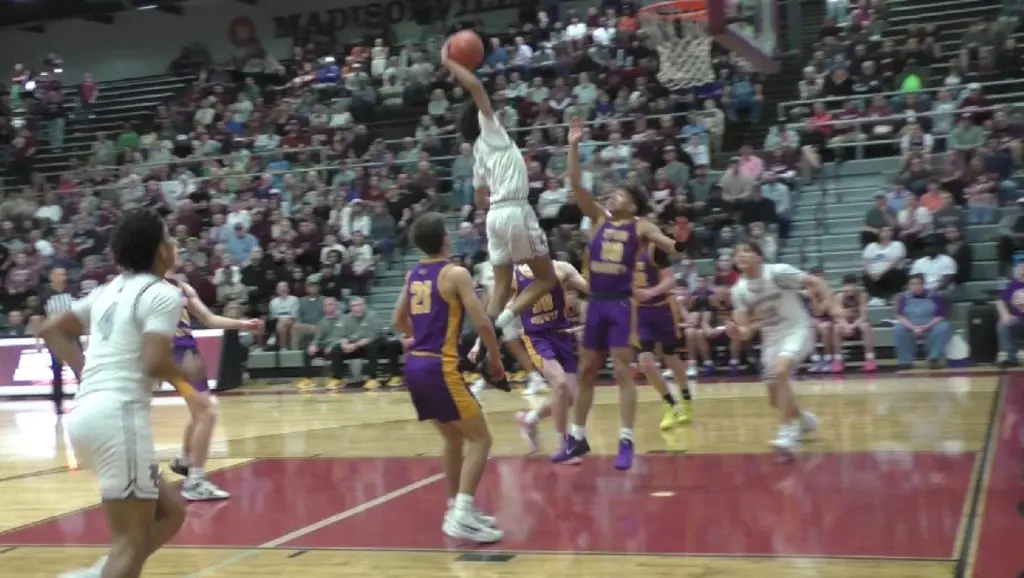 steart-e1773190272630846616