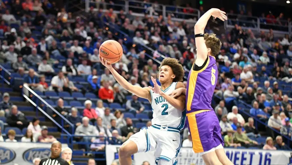 dsc_3371-e1773967616544748304