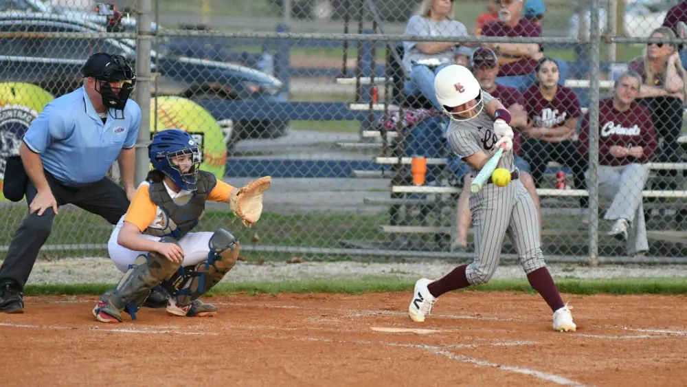 dsc_4392-e1774070852194640944