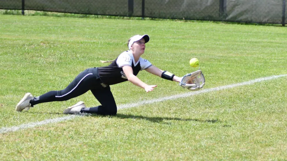 dsc_0496-e1775249274185365359