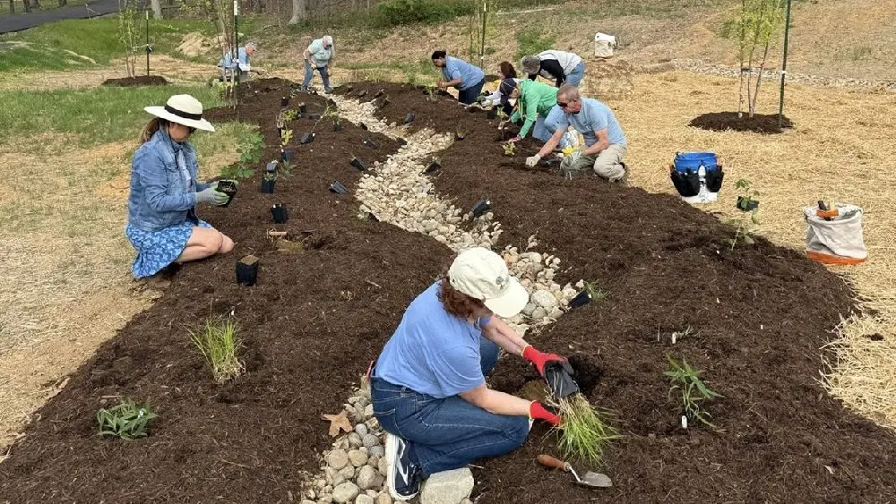 04-05-26-mahr-park-planting