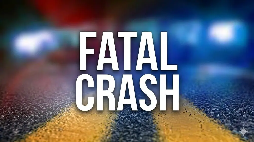 fatal-crash-2-google-gemini