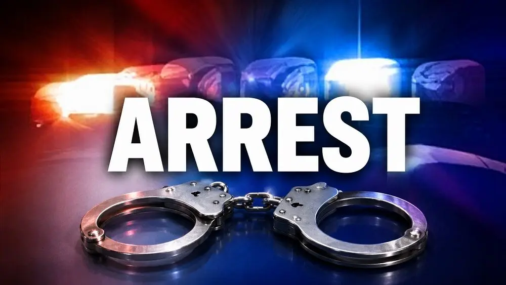 arrest-graphic-4