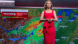 e_disclosureday_121625246587