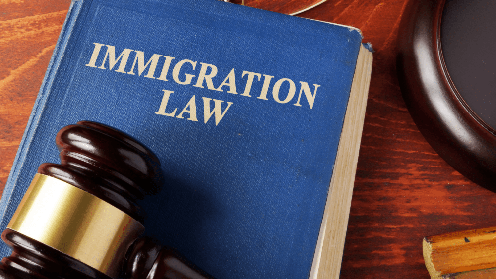 immigration-law-4