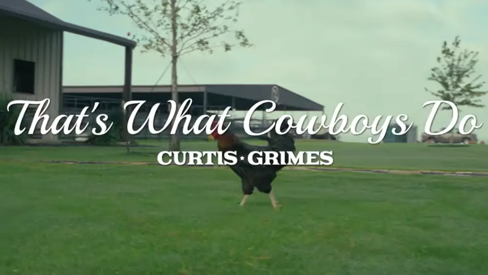 curtis grimes
