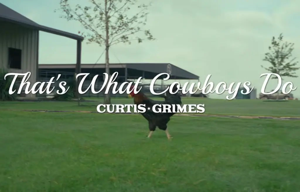 curtis grimes