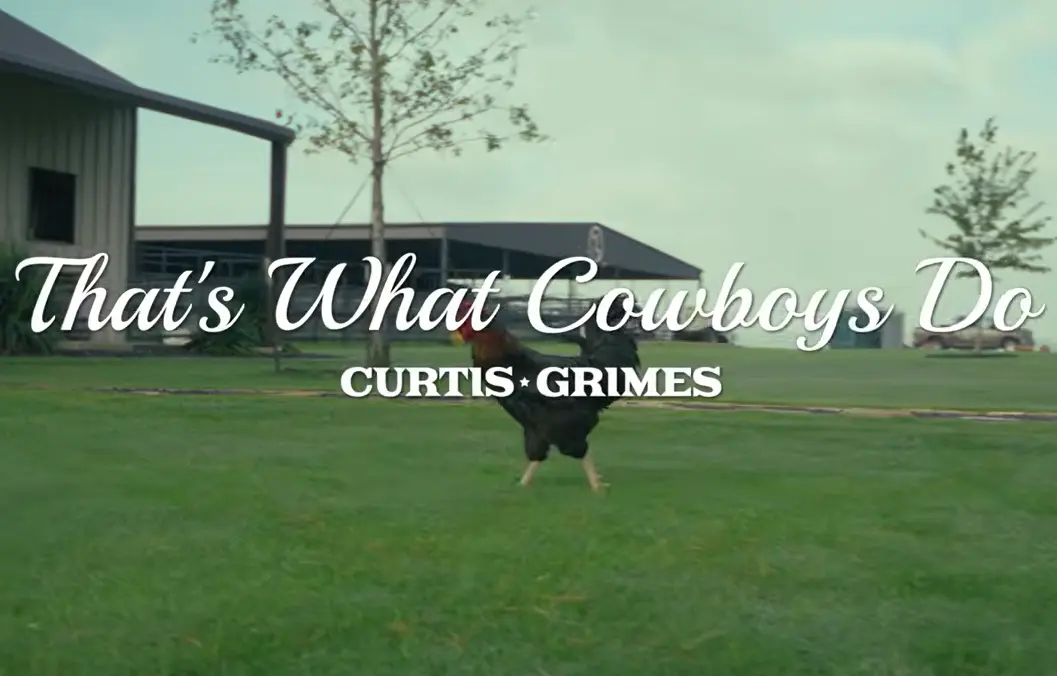curtis grimes