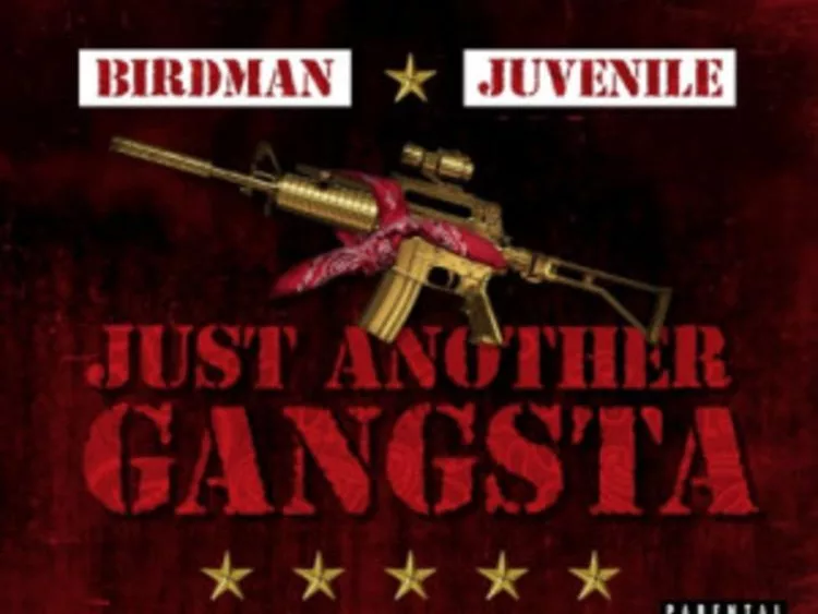 juvie_birdman