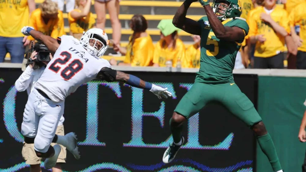 bears-3
