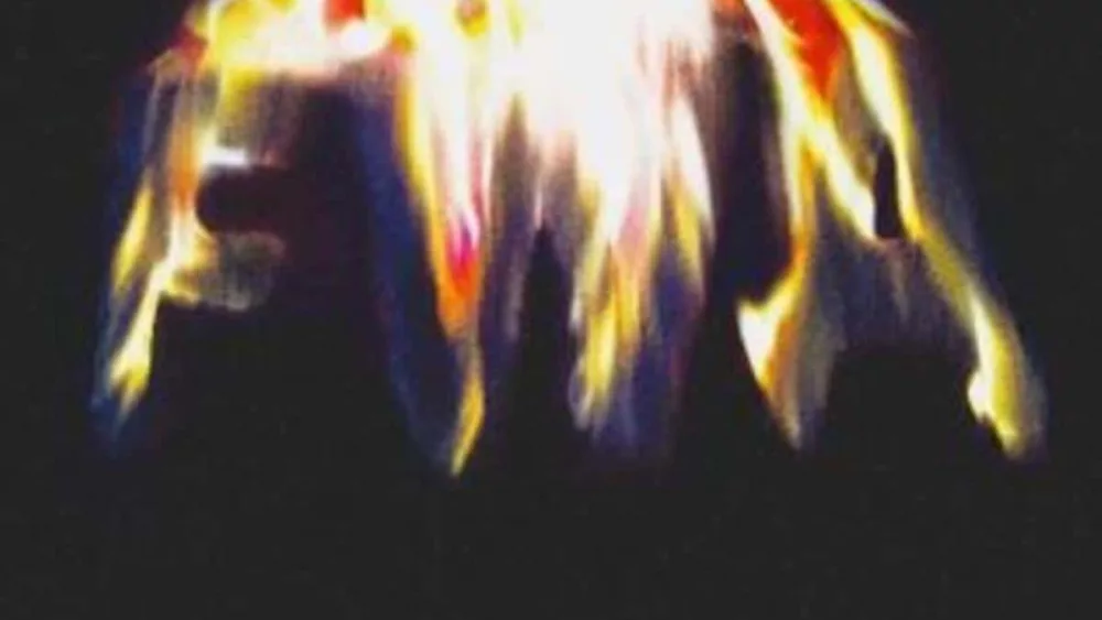 1593868523_ce2b87c21e8f48a2b3f82a11badd8ddd