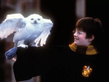 gty_harry_potter_and_the_sorcerors_stone_daniel_radcliffe_jt_141126_4x3t_384