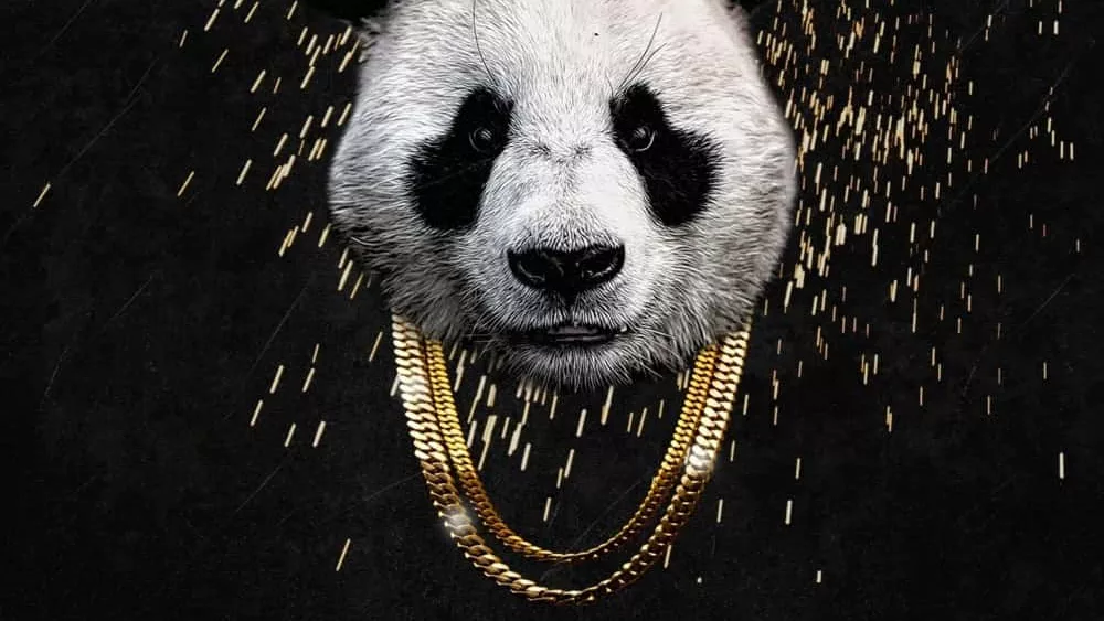 9d6377a81ba4a85fe6f5bee5f318ff28-1000x1000x1