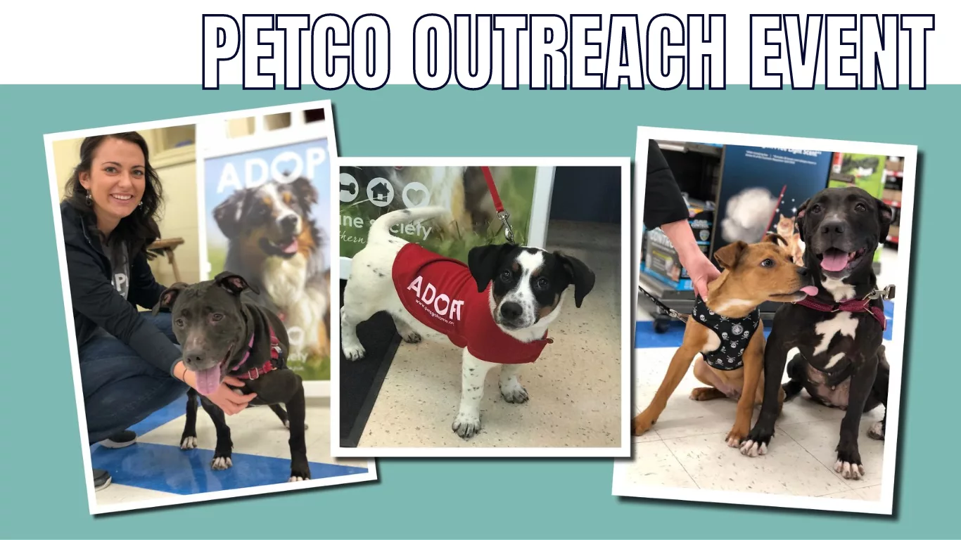 petco-adoption-event