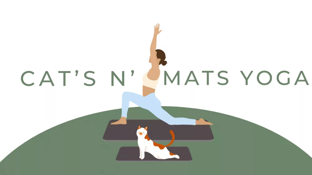 cat-yoga