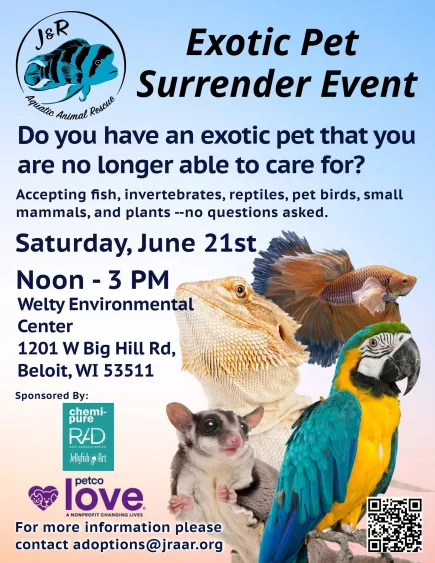 exotic-pet-surrender