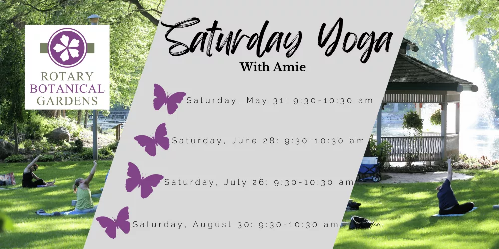 2025-vinyasa-with-theresa-manion-min