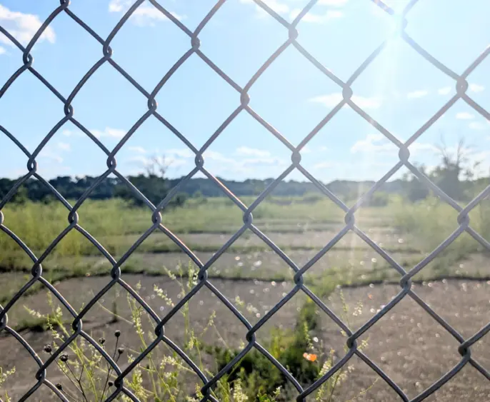 pxl_20250701_2305526902