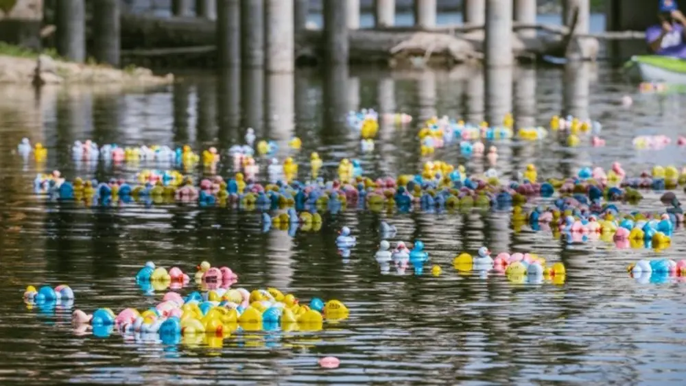 duck-dump