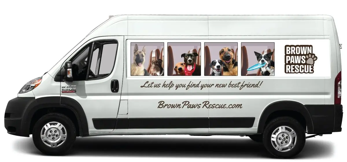 brown-paws-rescue-van