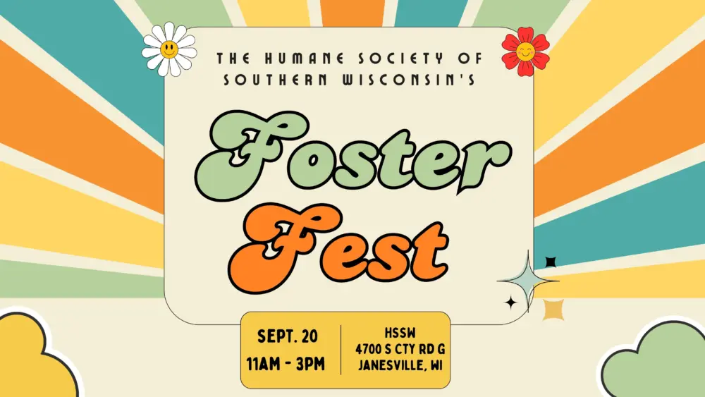 foster-fest-2025-website
