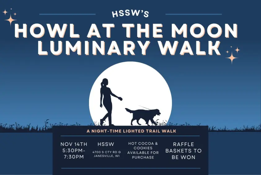 howl-at-the-moon-website-photo