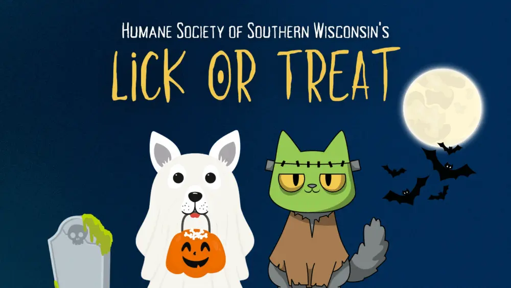 lick-or-treat-website