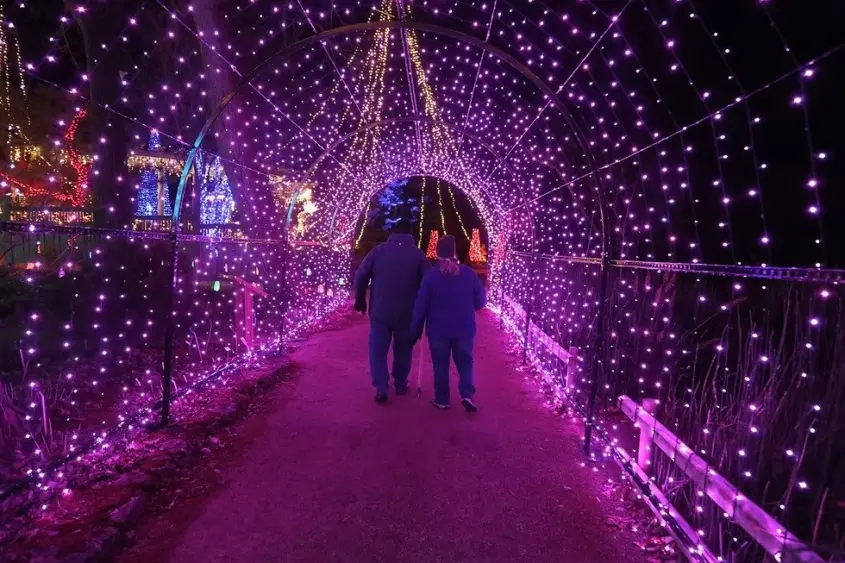 rotary-gardens-light-show