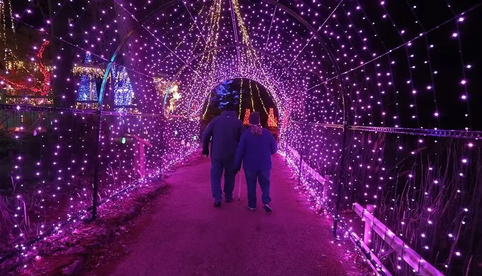 rotary-gardens-light-show