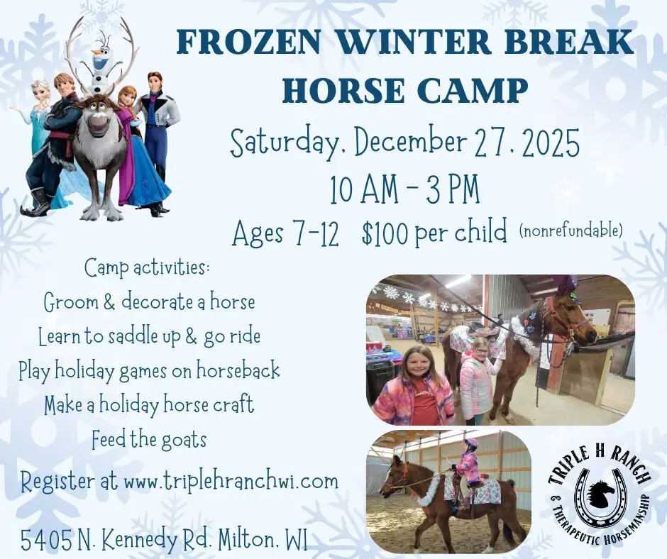 frozen-winter-horse-camp