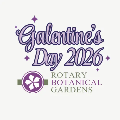 2026-galentines-day-logo-1