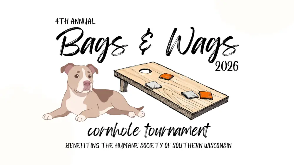 bags-wags