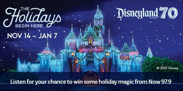 dlr_fy25_holiday_flipper_castle_-banner-2025