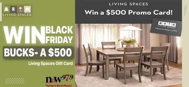 living-spaces-black-friday-art