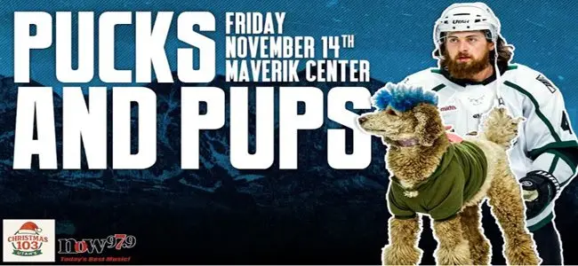 pucks-and-pups-web-art-3