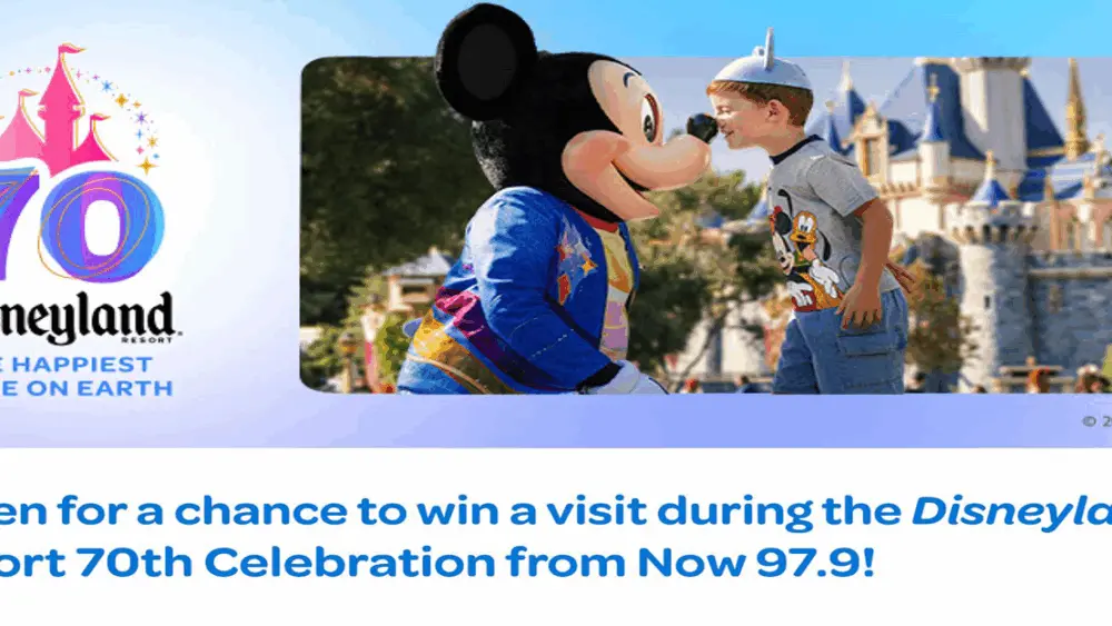 disney-flipper-final