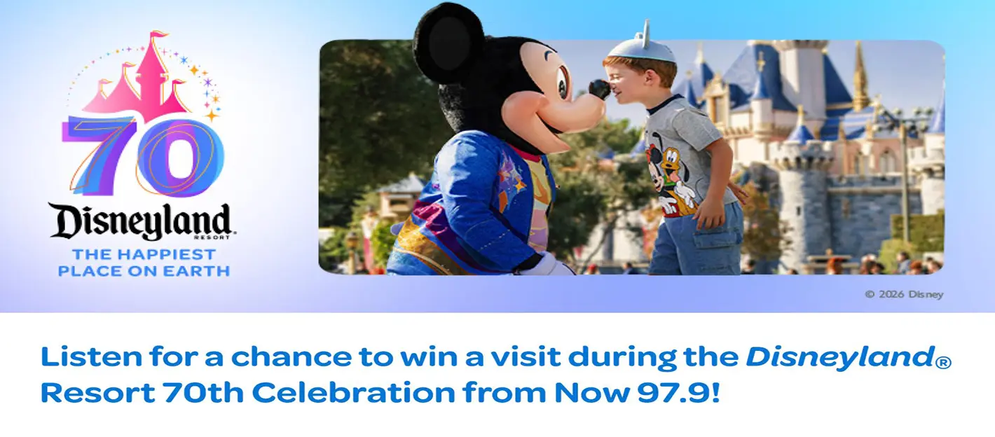 disney-flipper-final