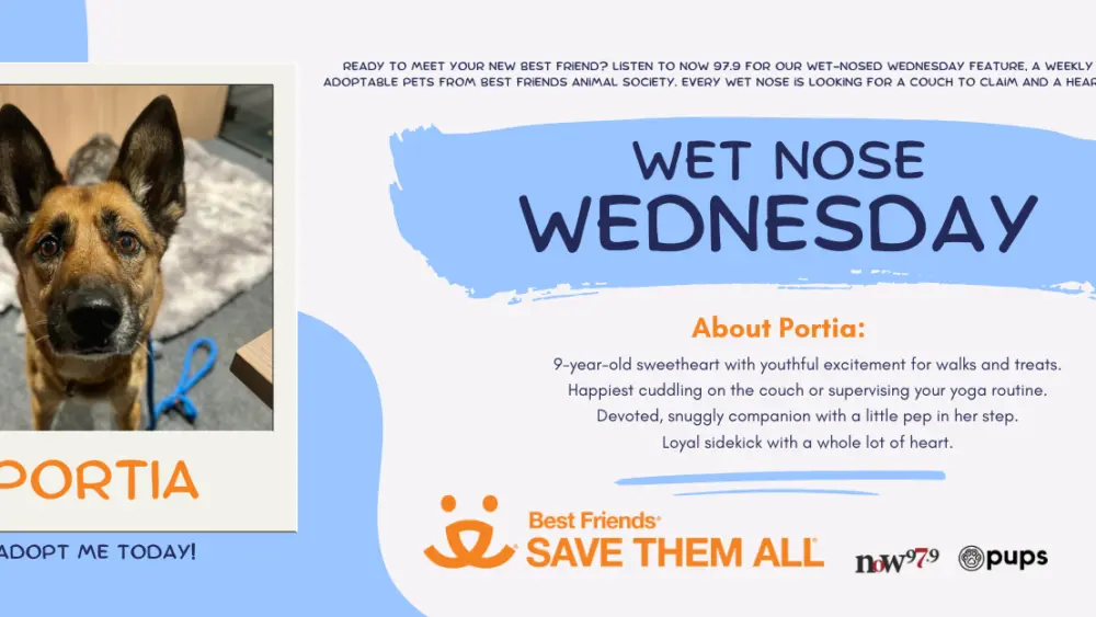 wet-nose-wednesday-flipper-portia-right-size