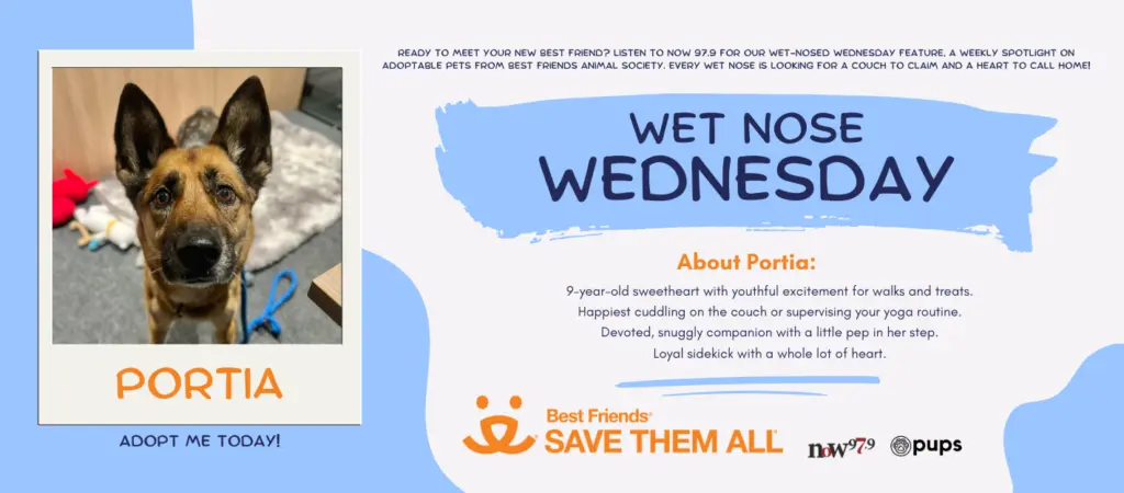 wet-nose-wednesday-flipper-portia-right-size