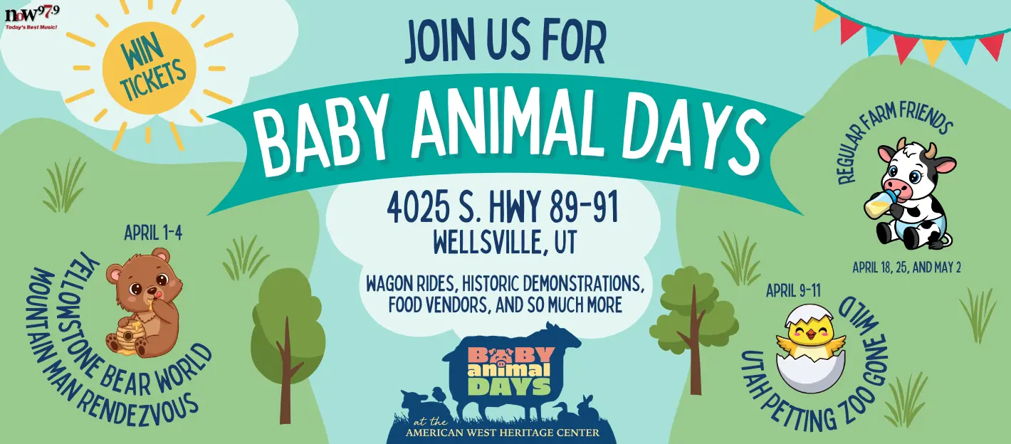 baby-animal-days-2-contest-final