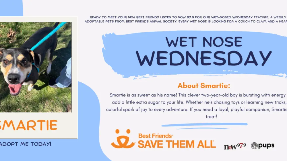 wet-nose-wednesday-flipper-smartie