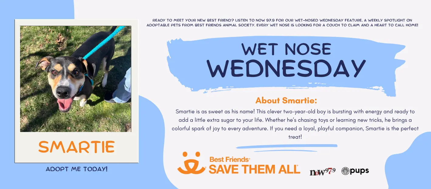 wet-nose-wednesday-flipper-smartie