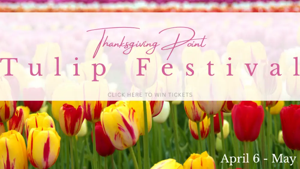 thanksgiving-point-tulip-festival-1