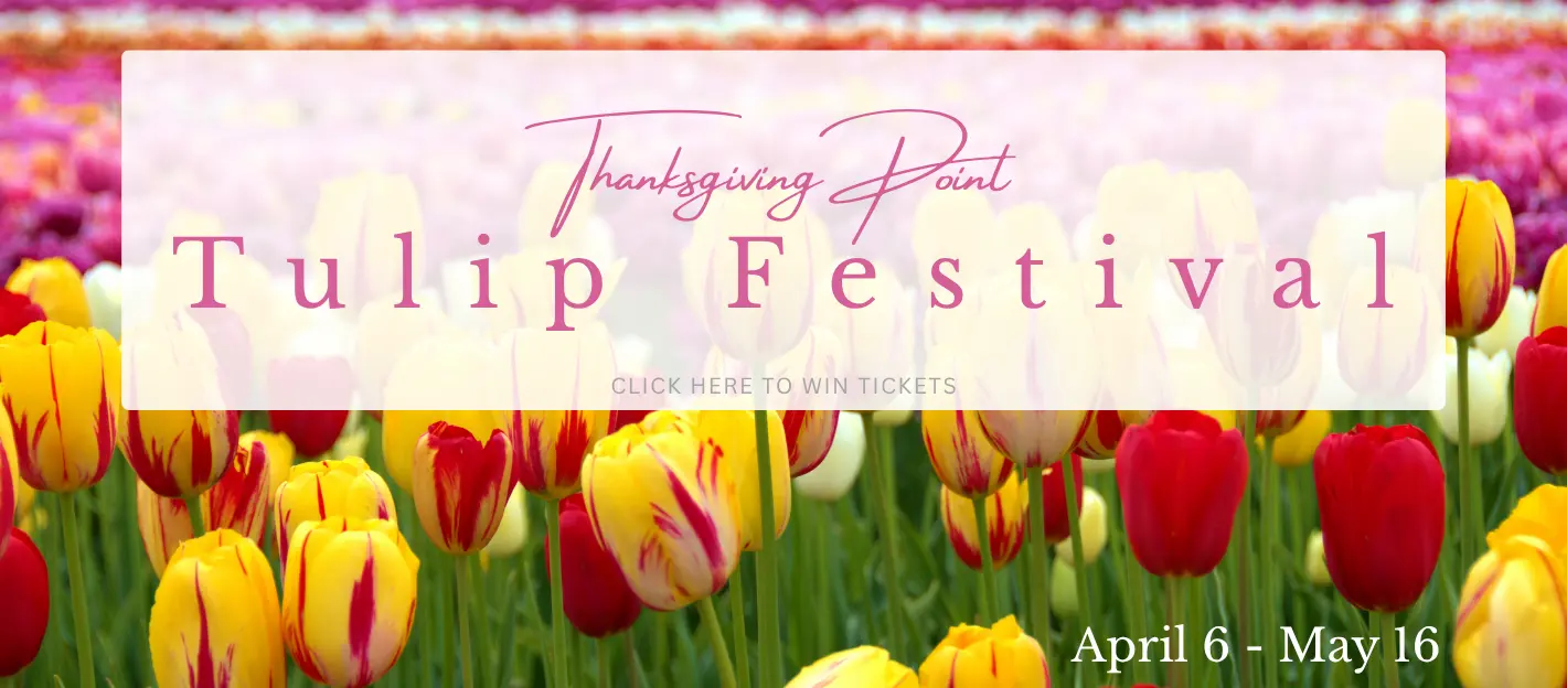 thanksgiving-point-tulip-festival-1