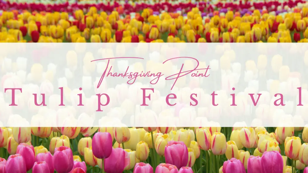 tulip-festival-events