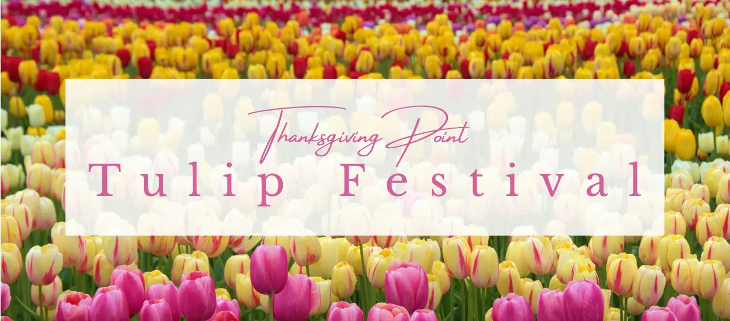 tulip-festival-events
