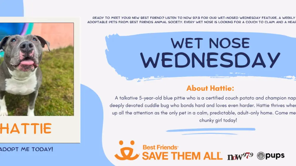 wet-nose-wednesday-flipper-hattie