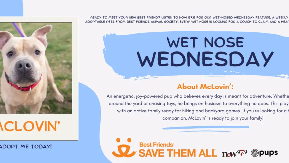 wet-nose-wednesday-flipper-mclovin