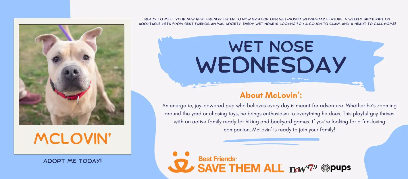 wet-nose-wednesday-flipper-mclovin
