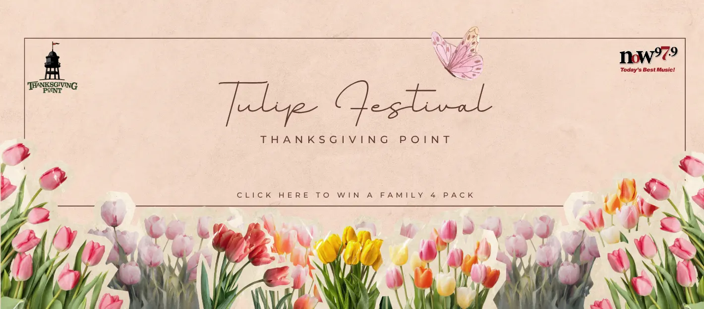 tulip-festival-flipper-2